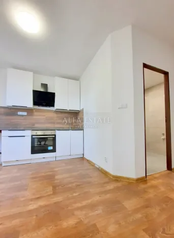 Pronájem bytu 2+1, Karlovy Vary - Stará Role, Fibichova, 63 m2