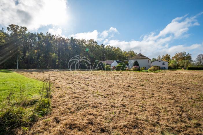 Prodej pozemku pro bydlení, Třeboň, 4758 m2