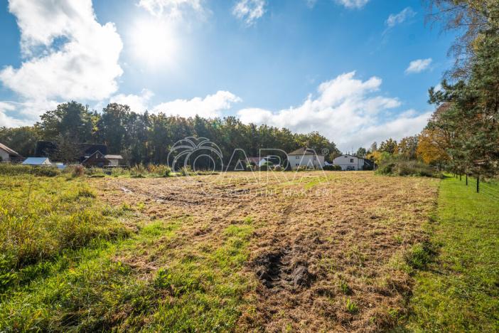 Prodej pozemku pro bydlení, Třeboň, 4758 m2