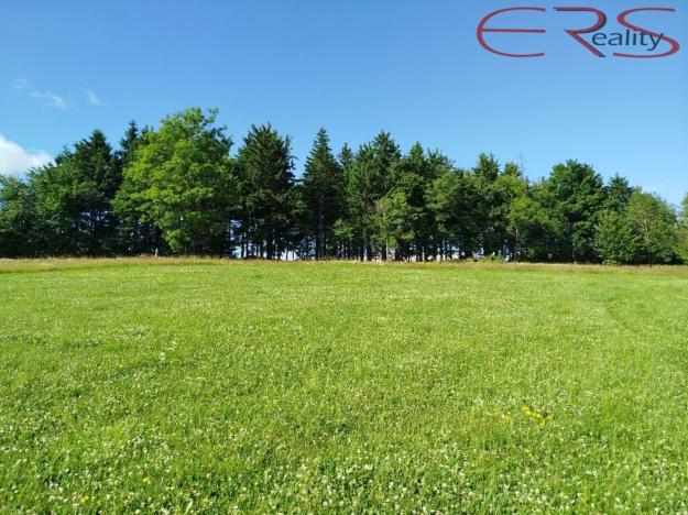 Prodej pozemku pro bydlení, Kořenov - Příchovice, 1250 m2