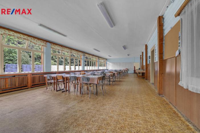 Prodej ubytování, Vysoká Srbská, 900 m2