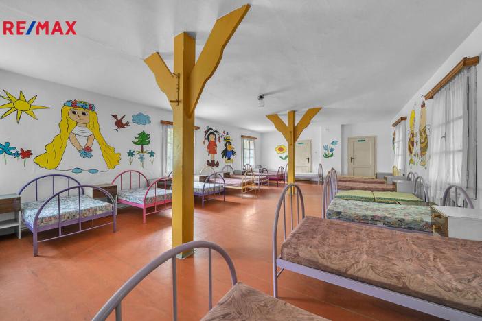 Prodej ubytování, Vysoká Srbská, 900 m2