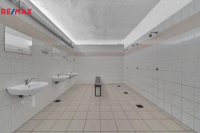 Prodej ubytování, Vysoká Srbská, 900 m2