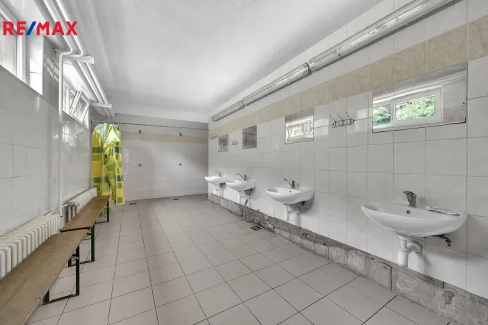 Prodej ubytování, Vysoká Srbská, 900 m2