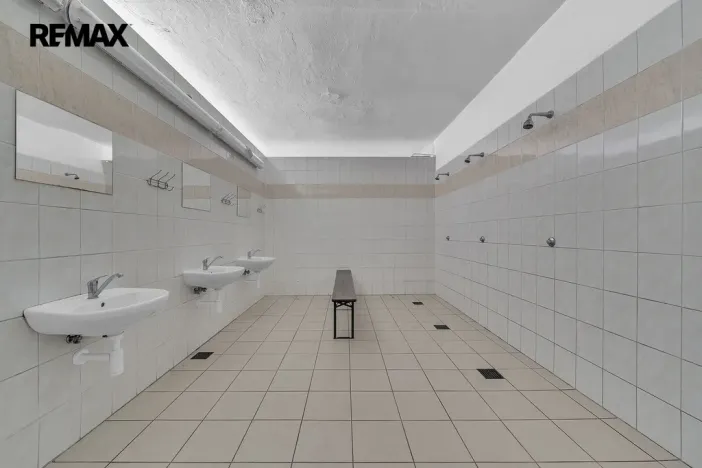 Prodej ubytování, Vysoká Srbská, 900 m2