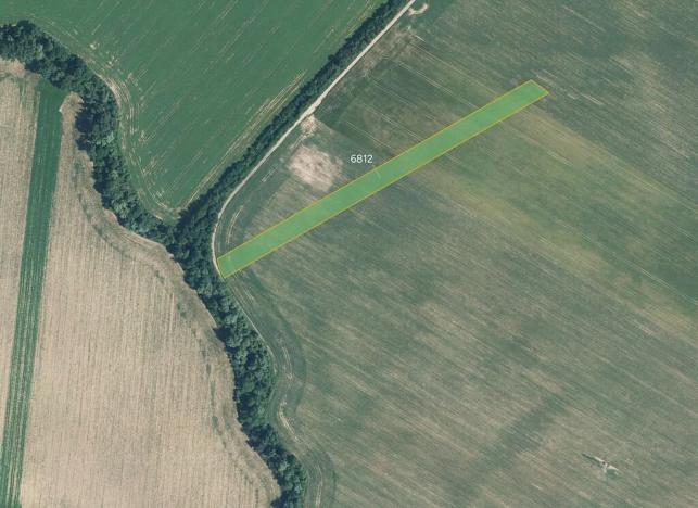 Prodej pole, Staré Město, 7098 m2
