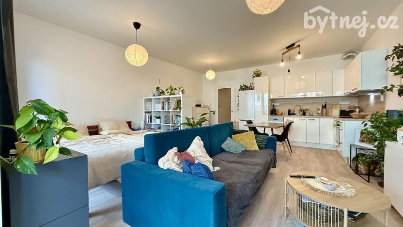 Pronájem bytu 1+kk, Brno - Staré Brno, Hybešova, 45 m2