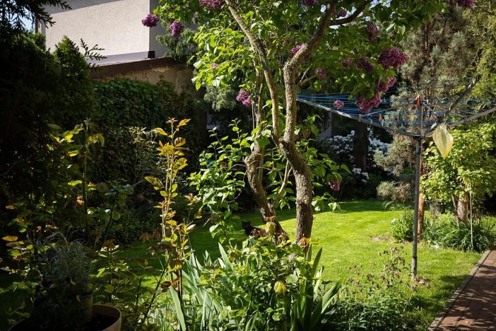 Prodej rodinného domu, Zdice, 294 m2