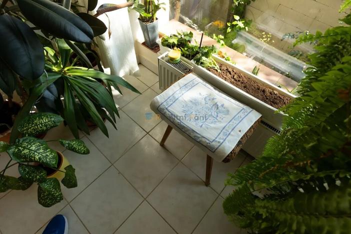 Prodej rodinného domu, Zdice, 294 m2