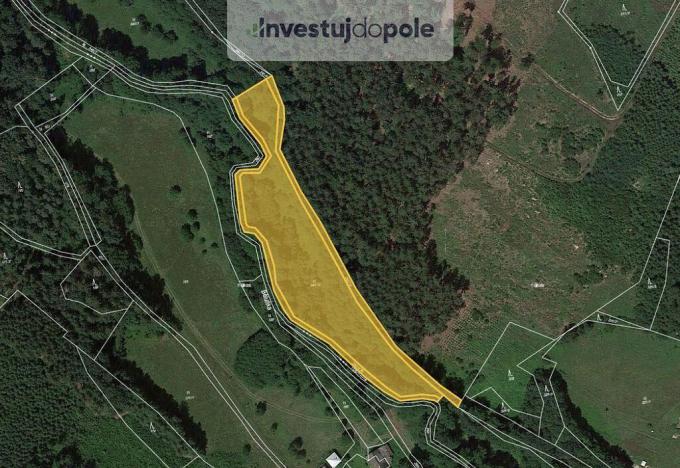 Prodej louky, Brzice - Žďár, 4230 m2