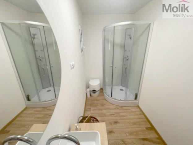 Prodej zahrady, Louka u Litvínova, Ruských zajatců, 977 m2