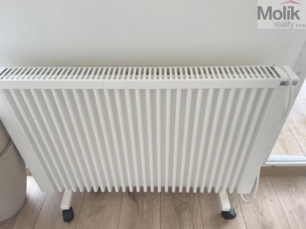 Prodej zahrady, Louka u Litvínova, Ruských zajatců, 977 m2