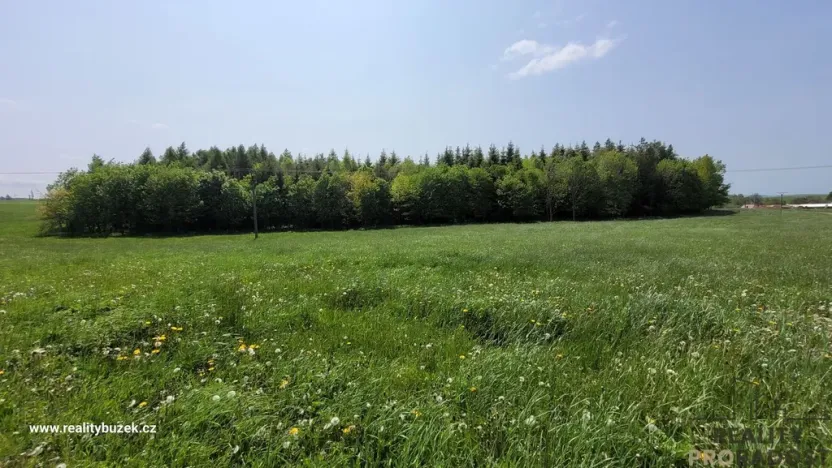 Prodej louky, Moravský Beroun - Čabová, 2247 m2