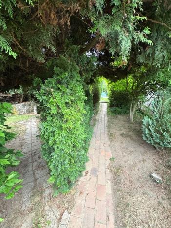 Prodej chaty, Sadov, 15 m2