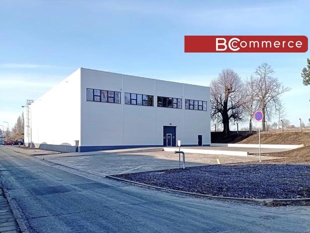 Pronájem výrobních prostor, Holubice, 1481 m2