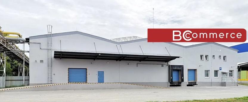 Pronájem skladu, Břeclav, Mládežnická, 1578 m2