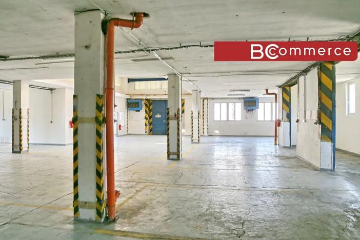 Pronájem skladu, Brno, 666 m2