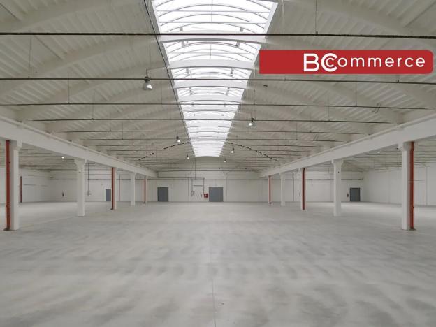 Pronájem skladu, Holubice, 1100 m2
