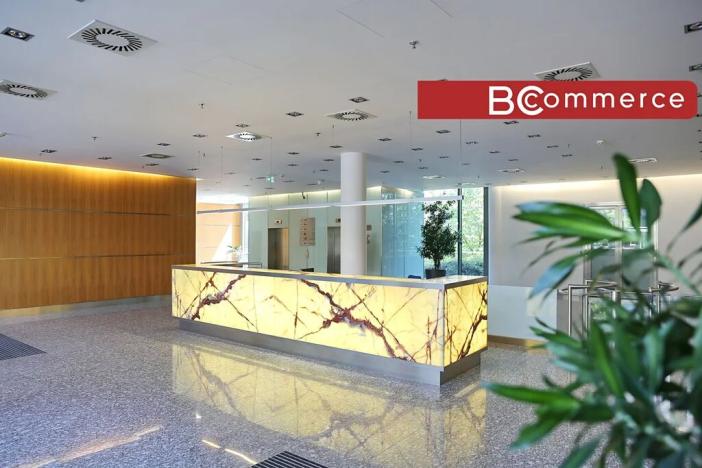 Pronájem kanceláře, Brno, 700 m2