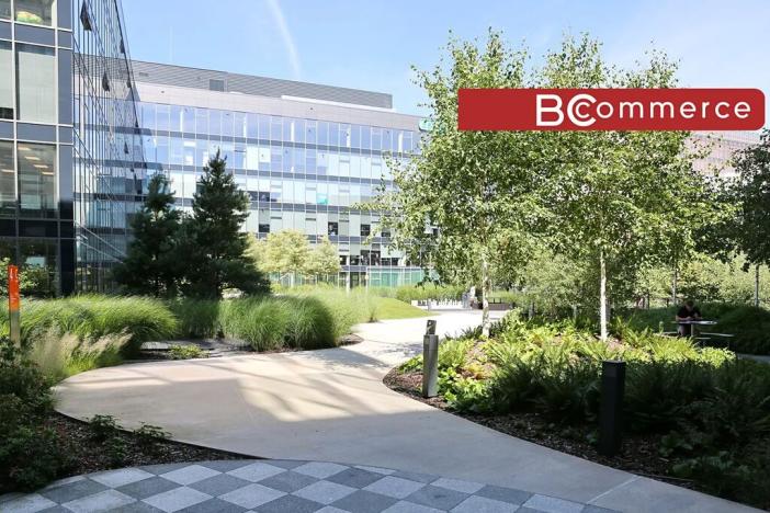 Pronájem kanceláře, Brno, 700 m2