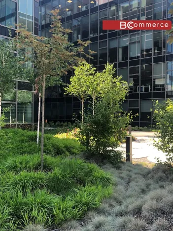 Pronájem kanceláře, Brno, 1363 m2