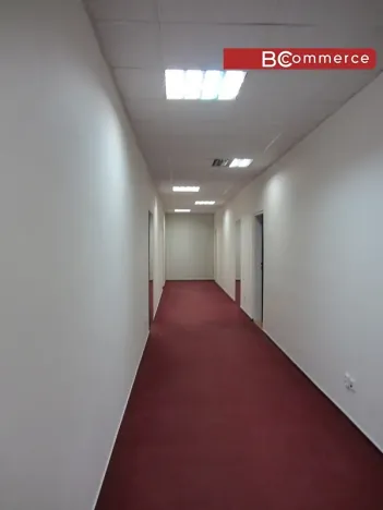 Pronájem kanceláře, Brno, 700 m2