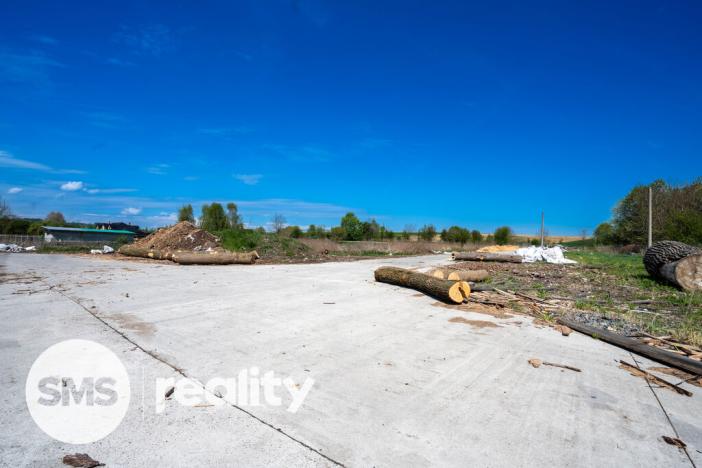 Prodej pozemku pro bydlení, Hladké Životice, Fulnecká, 22000 m2