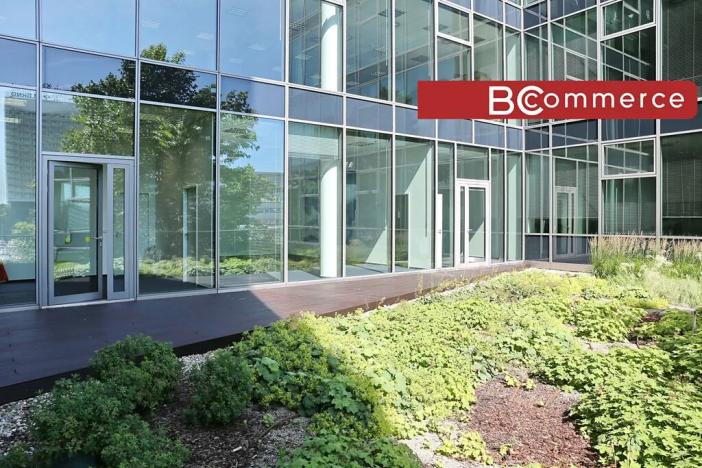 Pronájem kanceláře, Brno, 552 m2