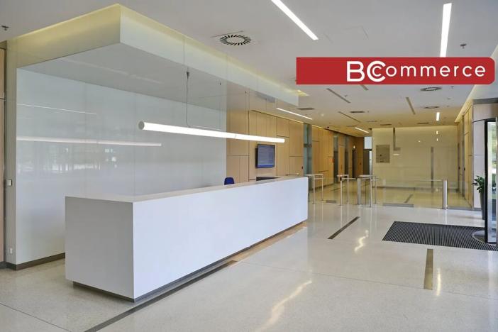 Pronájem kanceláře, Brno, 552 m2