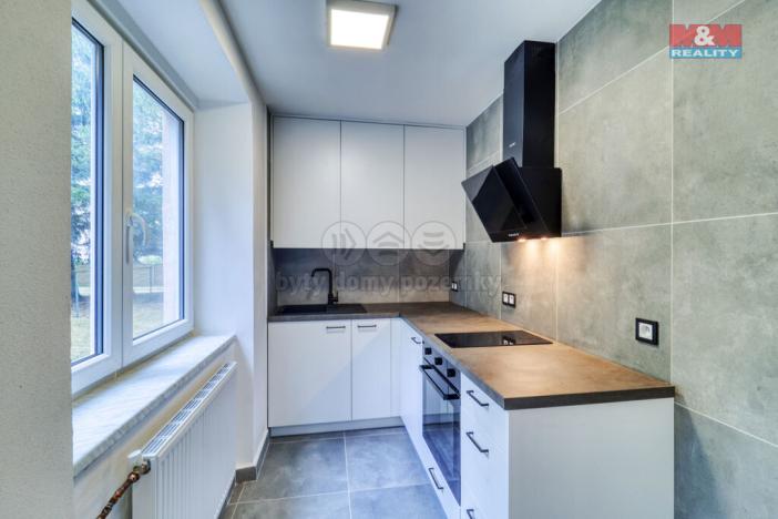 Pronájem bytu 2+kk, Plzeň - Východní Předměstí, Rychtaříkova, 28 m2