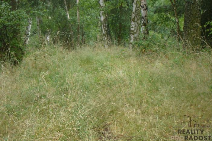 Prodej zahrady, Krušovice, 2000 m2