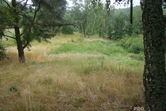 Prodej zahrady, Krušovice, 2000 m2