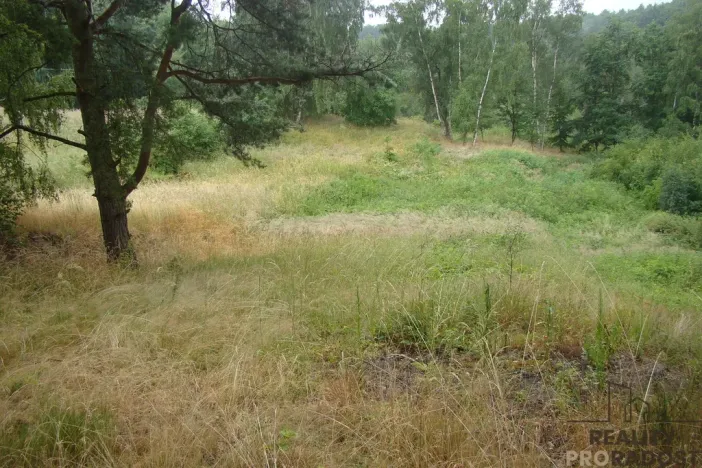 Prodej zahrady, Krušovice, 2000 m2