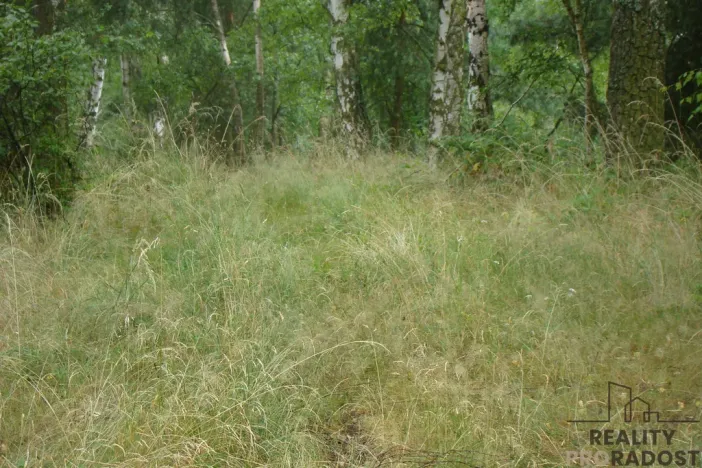 Prodej zahrady, Krušovice, 2000 m2