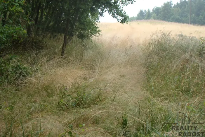 Prodej zahrady, Krušovice, 2000 m2