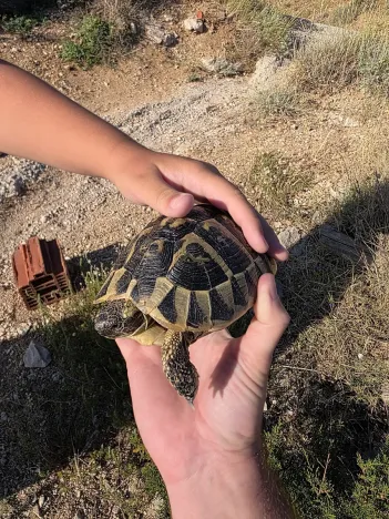 Prodej apartmánu, Pag, Chorvatsko, 165 m2