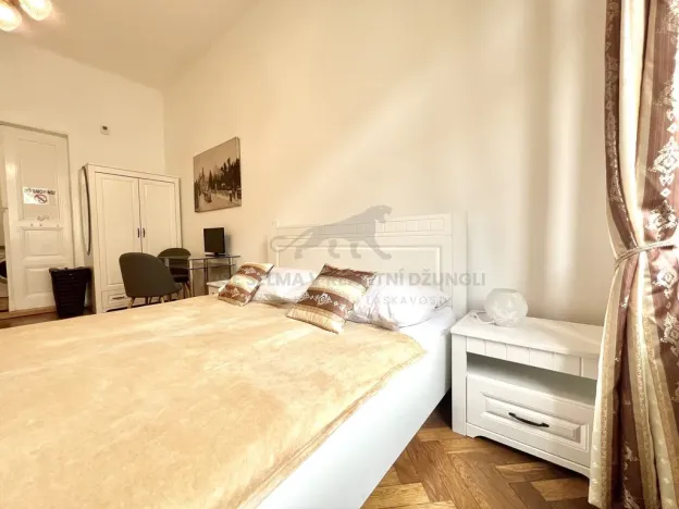 Pronájem bytu 1+kk, Praha - Nové Město, Vodičkova, 29 m2