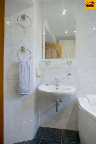 Prodej rodinného domu, Velký Týnec, 295 m2