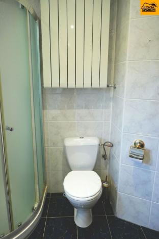 Prodej rodinného domu, Velký Týnec, 295 m2