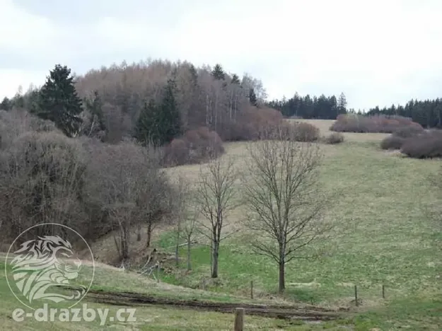 Dražba pozemku, Dlouhá Ves, 2751 m2