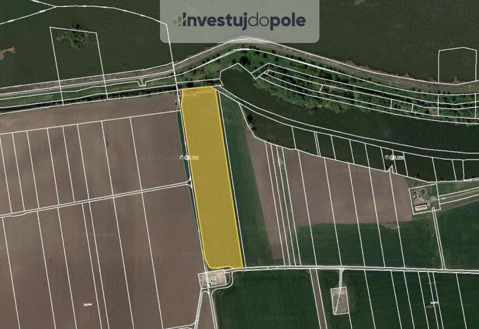 Prodej pole, Dolní Věstonice, 3751 m2