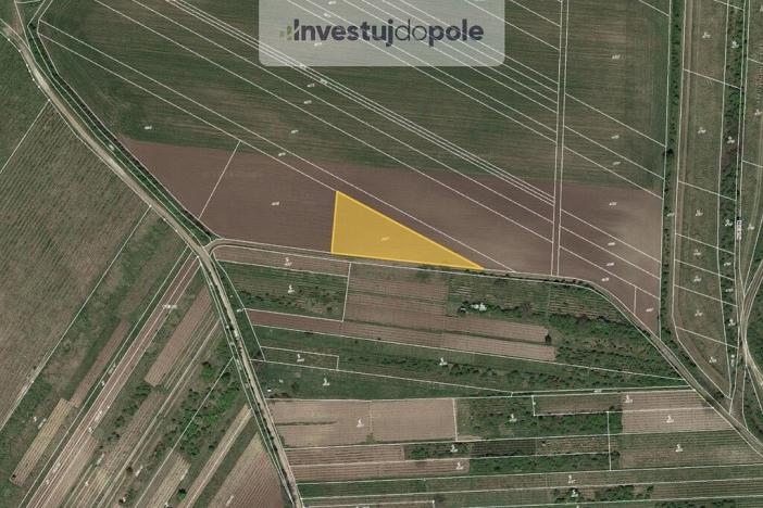 Prodej pole, Starovičky, 2007 m2