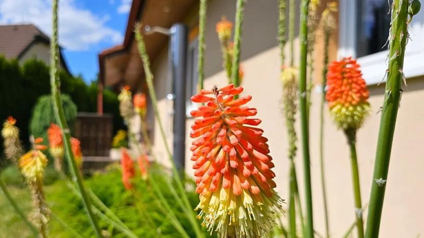 Prodej rodinného domu, Srubec, Jana Patočky, 145 m2