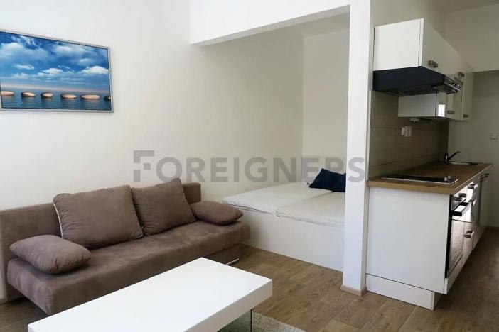 Pronájem bytu 1+kk, Brno, Bratislavská, 29 m2