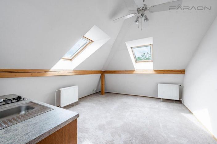 Pronájem vily, Praha - Troja, Na Salabce, 510 m2