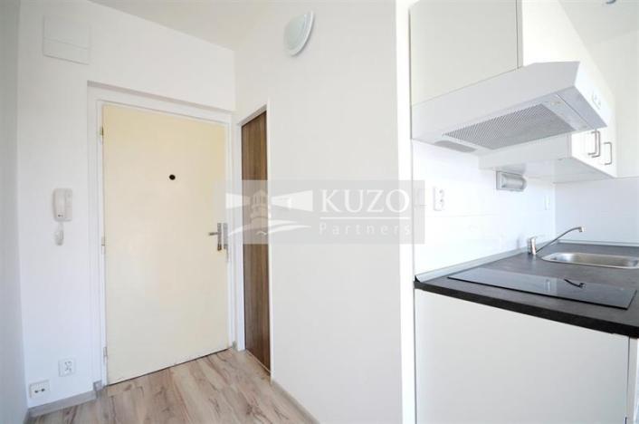 Pronájem bytu 1+kk, Chomutov, Seifertova, 20 m2