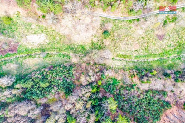 Prodej louky, Františkovy Lázně, 47169 m2