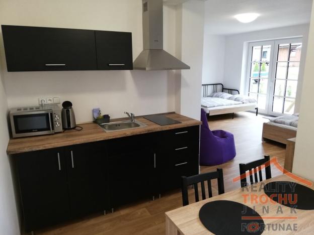 Prodej bytu 1+1, Říčky v Orlických horách, 41 m2