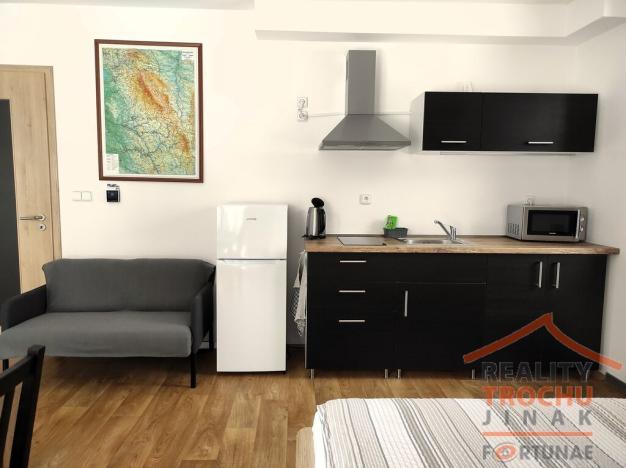 Prodej bytu 1+1, Říčky v Orlických horách, 32 m2