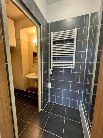 Pronájem bytu 1+kk, Pardubice - Bílé Předměstí, Štrossova, 28 m2